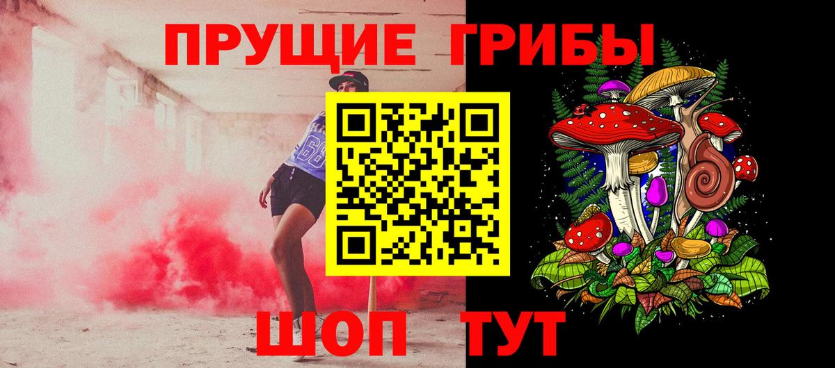 Галлюциногенные грибы Psilocybe  Вход с VPN  Северск 