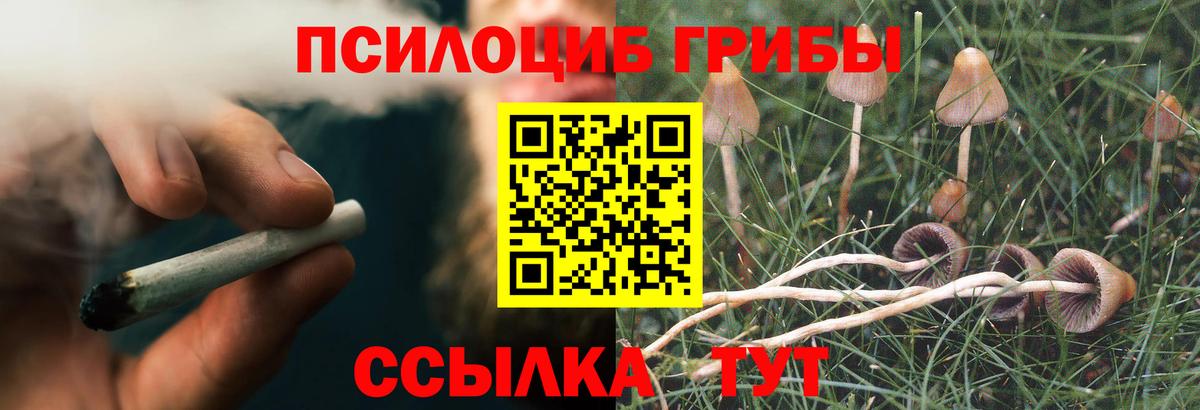 Псилоцибиновые грибы мухоморы Северск